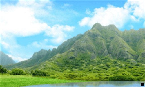 三粉象在哪儿填写邀请码