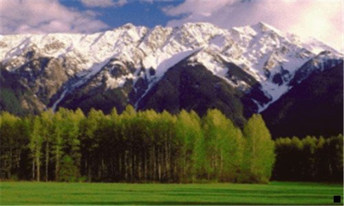 一粉象电子是做什么