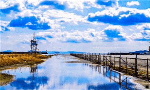 二怎么在粉象发布商品