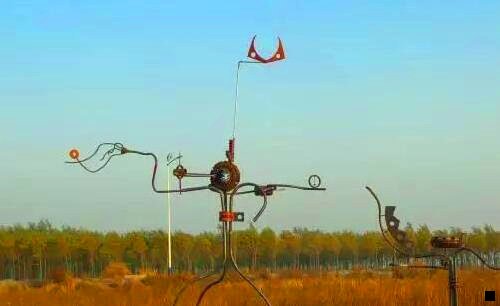 三象牙作用与功效