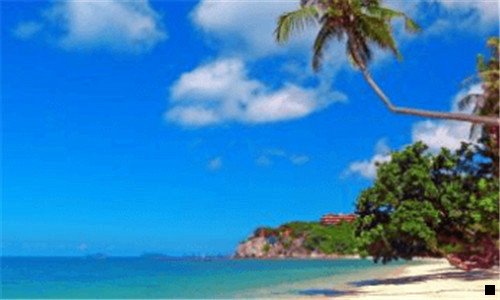 二粉象为什么用邀请码