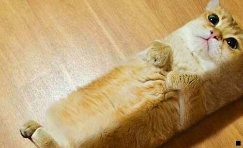 三为什么粉象必须绑定微信