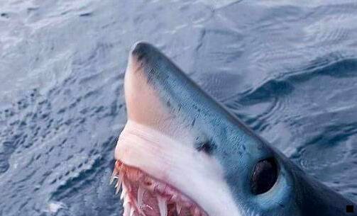 一注册粉象生活有风险吗