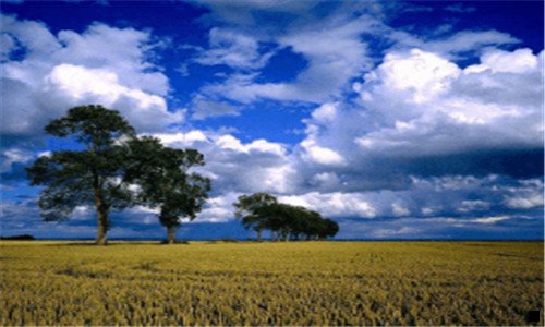 一粉象生活邀请码621729信任