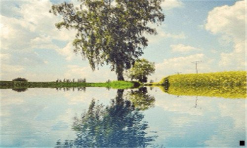 一粉象可以注销吗