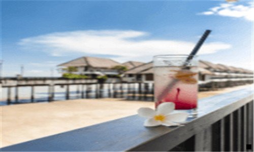 一浅粉象啤酒是哪个品牌