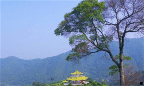二粉象生活各级佣金比例