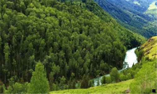 二粉象生活普通与VIP区别