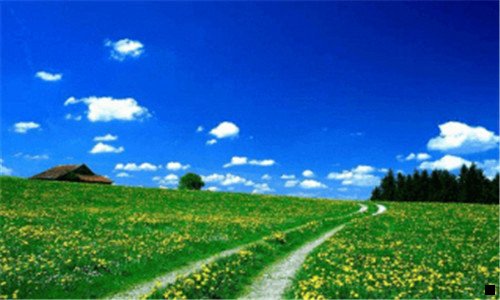 二优淘集市和粉象生活哪个好