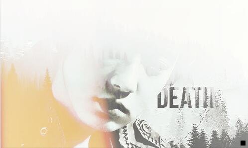 二粉象生活的邀请码在哪里找