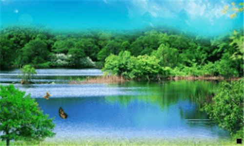 二粉象生活比花生更优势