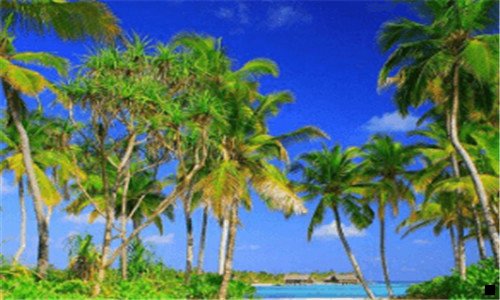 二粉象生活的邀请码在哪里找