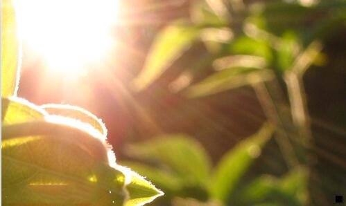 一粉象生活无邀请码注册