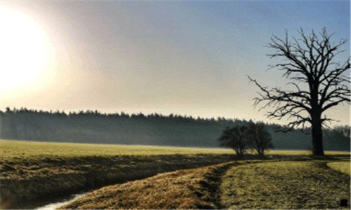 一粉象生活 风险
