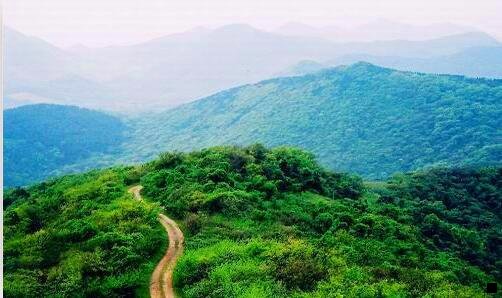 二粉象专属粉丝提多少佣金