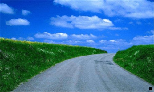 一神象牌三七粉直肖厂家