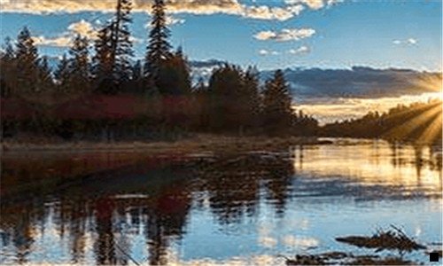 三象草与皇竹草的区别