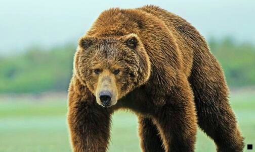 二美逛和粉象生活哪个有优势