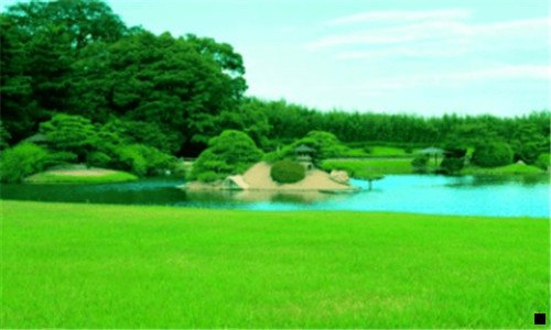 三粉象生活教学