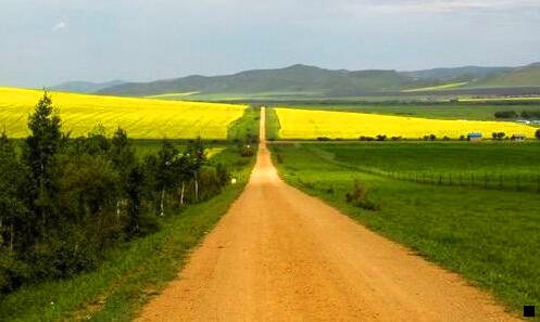 一粉象生活如何推广赚钱