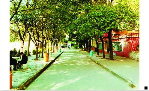 一粉象生活炊注册码061929炊