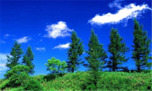 二粉象是什么平台