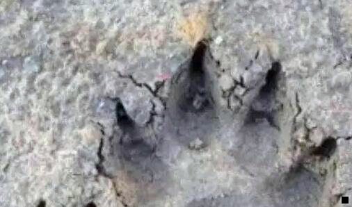 二粉象生活可否与微信解绑