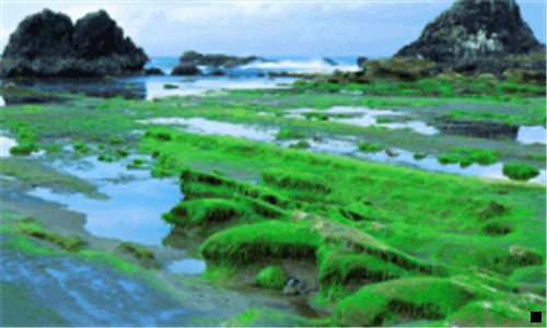 一粉象19年业绩