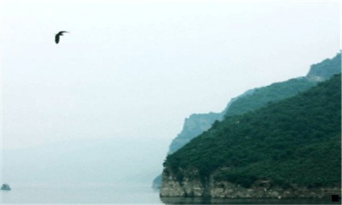一粉象生活怎么裂变
