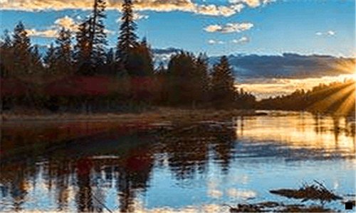 三粉象生活官方邀请码是多少