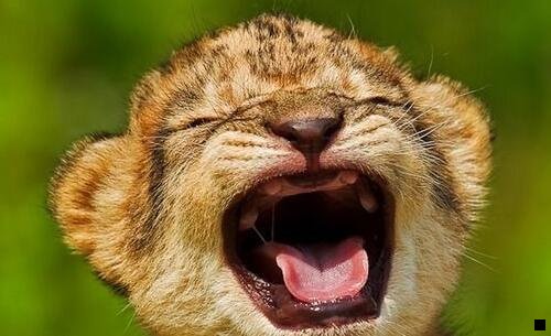 一郑州粉象生活团队