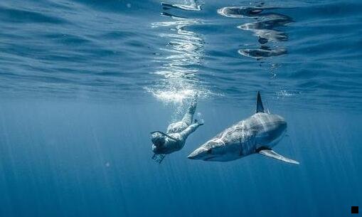 三粉象生活怎样升级合伙人