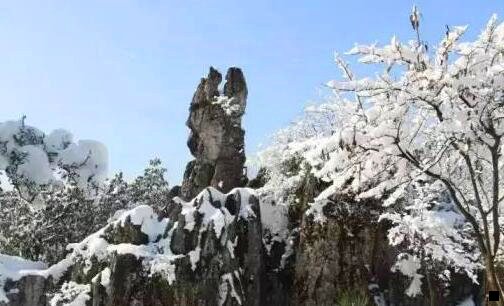 二粉象生活新手指南