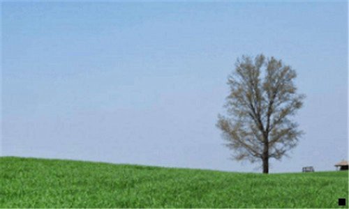 一粉象生活官方邀请码562273