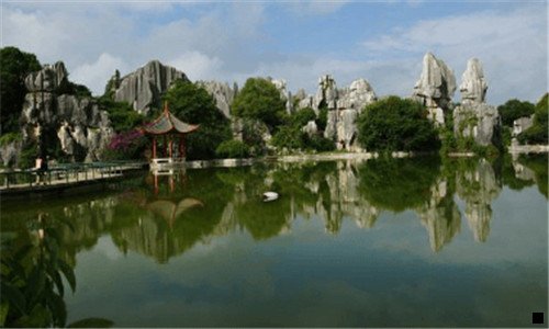一粉象百度资料