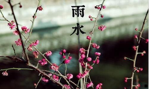 二粉象生活app下载安装