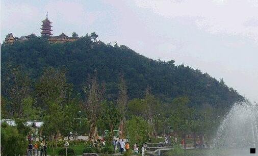 一深粉象 酒精度