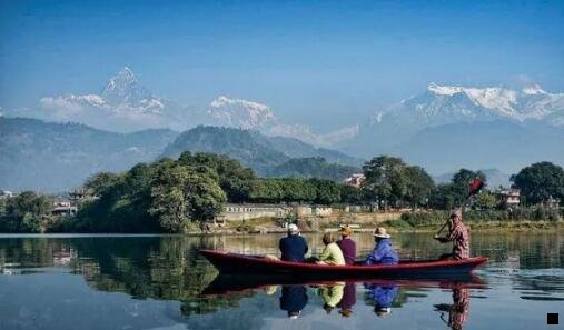 一粉象生活赚了多少钱