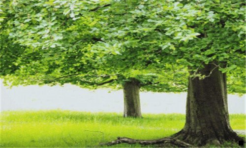 一杭州粉象家科技有限公司好吗