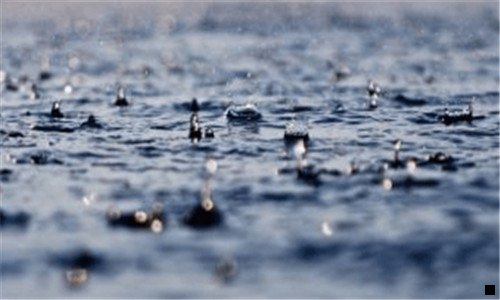 三粉象生活分佣比例