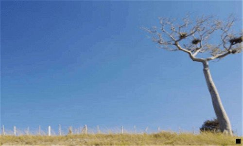 一粉象生活返利