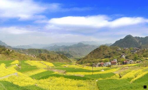 一粉象生活245785