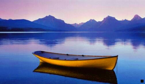 一粉象生活的订单点不开