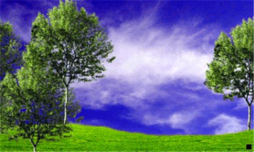 三粉象生活一个象币多少钱