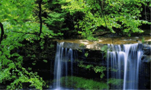 三粉象生活怎么购买vip