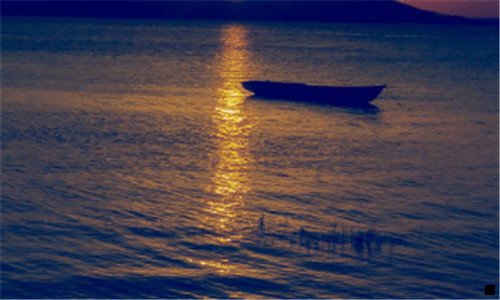 二粉象生活层级关系