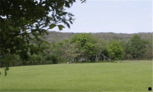 一浅粉象属于什么啤酒