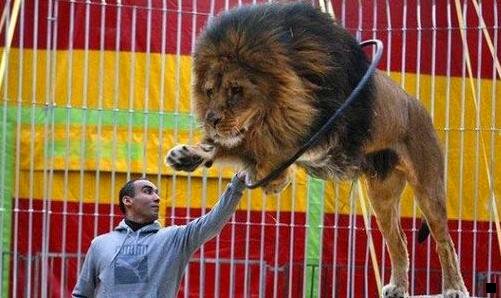 二粉象生活是谁的