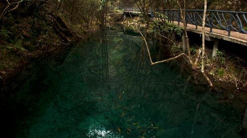 一粉象生活邀请码填认可319781选