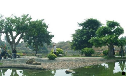 三粉象生活佣金制度